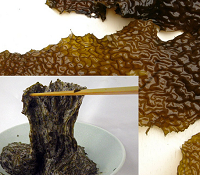 海の納豆とはクロメという海藻！その効果・効能は？主治医が見つかる